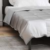 vidaXL Duvet complet toute l'ann&eacute;e Argent&eacute; 200 x 155 cm