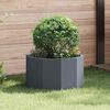 vidaXL Jardini&egrave;re Anthracite 60 x 60 x 35 cm Acier