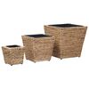 vidaXL Lits sur&eacute;lev&eacute;s 3 pcs Jacinthe d'eau