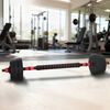 vidaXL Ensemble Halt&egrave;re-Barre 2-en-1 30kg Noir et Rouge