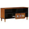 vidaXL Meuble TV Noyer 100 x 33 x 46 cm Bois de mangue massif