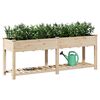 vidaXL Cache-pot de jardin avec étagère Beige 203 x 53 x 76,5 cm