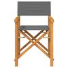 vidaXL Chaises de metteur en sc&egrave;ne pliantes lot de 2 Bois teck massif
