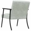 vidaXL fauteuil Gris clair 59 x 75 x 78 cm Velours