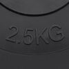vidaXL Plaques de poids 6 pcs 30 kg B&eacute;ton