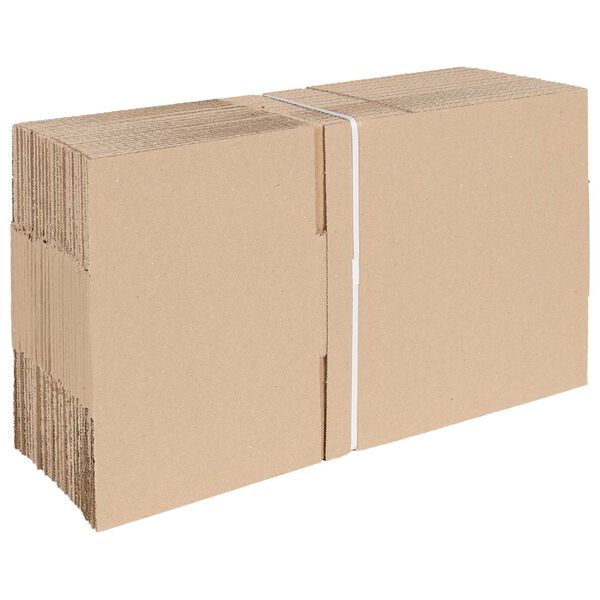 vidaXL Bo&icirc;te Pliable 50 pcs Naturel 25 x 17,5 x 10 cm Carton