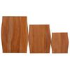 vidaXL Tables d'appoint gigognes 3 pcs Bois massif d'acajou