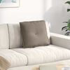vidaXL Coussin de Dos Taupe 50 x 45 cm Tissu en microfibre