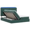 vidaXL Lit de rangement LED avec matelas Vert fonc&eacute; 200 x 200 cm