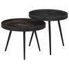 vidaXL Tables basses gigognes 2 pcs fer