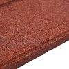 vidaXL Pierre de marchage 6 pcs Rouge 40,5 x 40,5 x 2 cm Caoutchouc