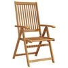 vidaXL Chaises pliantes 2 pi&egrave;ces en bois d'acacia massif