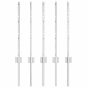vidaXL Poteau de cl&ocirc;ture ench&acirc;ss&eacute; 5 pi&egrave;ces Argent&eacute; 100 cm