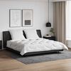 vidaXL Ensemble de Duvet 3 pcs Blanc Microfibre et Plumes D'oie