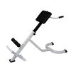 vidaXL Banc de musculation du dos