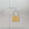 vidaXL U Lock avec Cl&eacute;s 100 pcs Laiton Fer