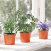 vidaXL Pot &agrave; fleurs 50 pcs C&eacute;ramique &Oslash; 15 x 12,5 cm Plastique