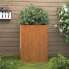 vidaXL Jardini&egrave;re 42x38x75 cm acier corten
