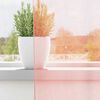 vidaXL Rideaux en voile avec boucles 2 pcs rose 140x225 cm