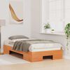 vidaXL Cadre de lit sur&eacute;lev&eacute; Marron 75 x 190 cm Bois massif en pin