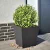 vidaXL Jardini&egrave;re noir 40x40x40 cm acier
