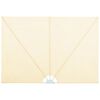 vidaXL Auvent latéral pliable de terrasse Crème 300 x 200 cm