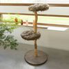 Designed by Lotte Poteau &agrave; gratter en bois JAZZ