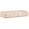 vidaXL Lit de jour sans matelas 80x200 cm bois de pin massif