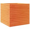 vidaXL Jardini&egrave;re cire marron 50x50x46 cm bois de pin massif