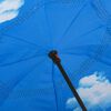 vidaXL Parapluie &agrave; poign&eacute;e en C Noir 108 cm