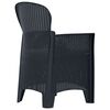 vidaXL Chaises de jardin lot de 2 avec coussin Anthracite Plastique