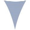 Blue_and_white