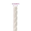 vidaXL Corde de travail Blanc 12 mm 100 m polypropyl&egrave;ne