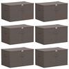 vidaXL Bo&icirc;te de rangement avec fen&ecirc;tre lat&eacute;rale transparente 6 pc