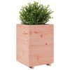 vidaXL Jardini&egrave;re 50x50x72,5 cm bois massif de douglas