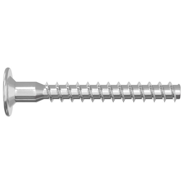 vidaXL Vis confirmat 12 pcs Argent&eacute; &Oslash;5 x 40 mm M&eacute;tал