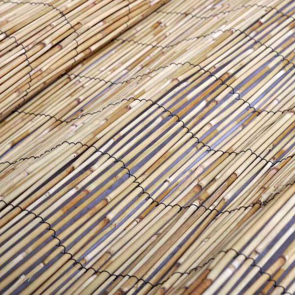 vidaXL Cl&ocirc;ture en Roseau Naturel 500 x 140 cm Roseau