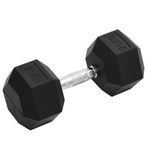 vidaXL Halt&egrave;re 25 kg Fonte