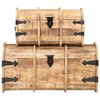 vidaXL Coffres de rangement 2 pcs Bois de manguier massif
