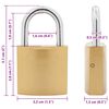 vidaXL U Lock avec Cl&eacute;s 2 pcs Laiton Fer