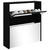 vidaXL Armoire &agrave; chaussures avec miroir &agrave; 2 niveaux Noir 63x17x67 cm