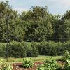vidaXL Cl&ocirc;ture en treillis m&eacute;tallique anthracite 1,6x25 m