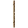 vidaXL T&ecirc;te de lit murale Marron miel 166x3x63 cm Bois massif de pin