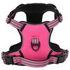 vidaXL Harnais pour chien avec laisse et collier r&eacute;glables rose L
