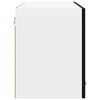 vidaXL Armoire suspendue avec porte 2 pcs Ch&ecirc;ne noir 60 x 31 x 40 cm