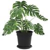 vidaXL Pots de plantes 6 pcs Noir &Oslash; 17 x 14 cm Plastique