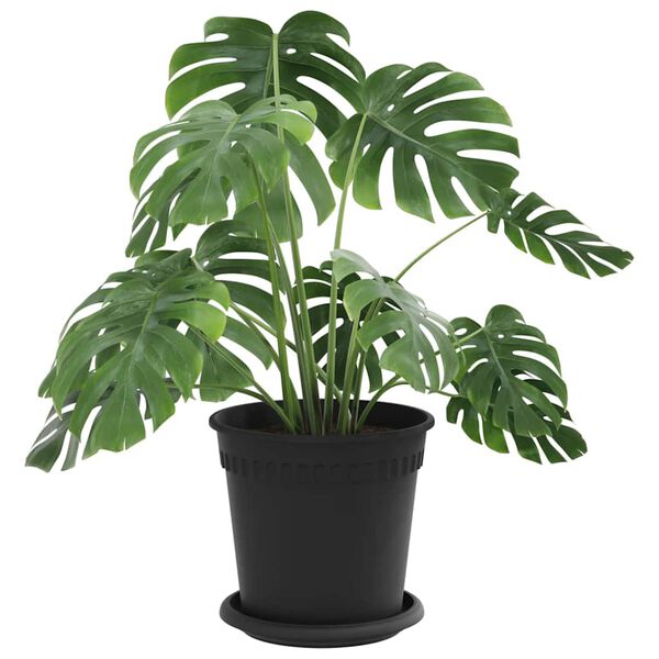 vidaXL Pots de plantes 6 pcs Noir &Oslash; 17 x 14 cm Plastique