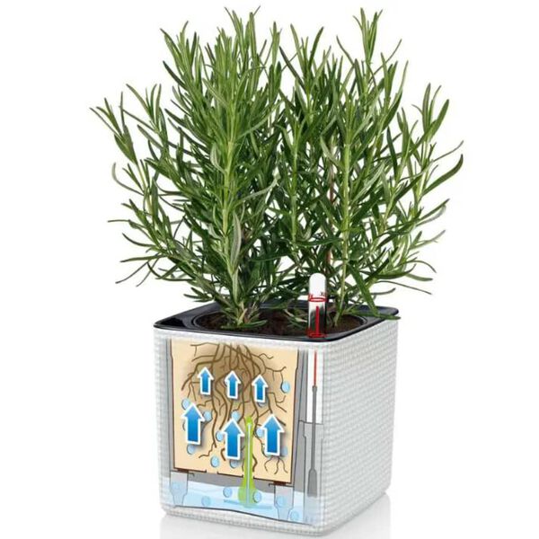 LECHUZA 3 pcs Jardini&egrave;res Green Wall Home Kit Blanc