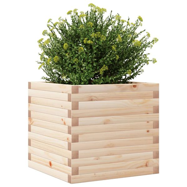 vidaXL Jardini&egrave;re 50x50x45,5 cm bois de pin massif