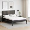 vidaXL Matelas Blanc et Gris 160 x 200 cm Tissu jacquard